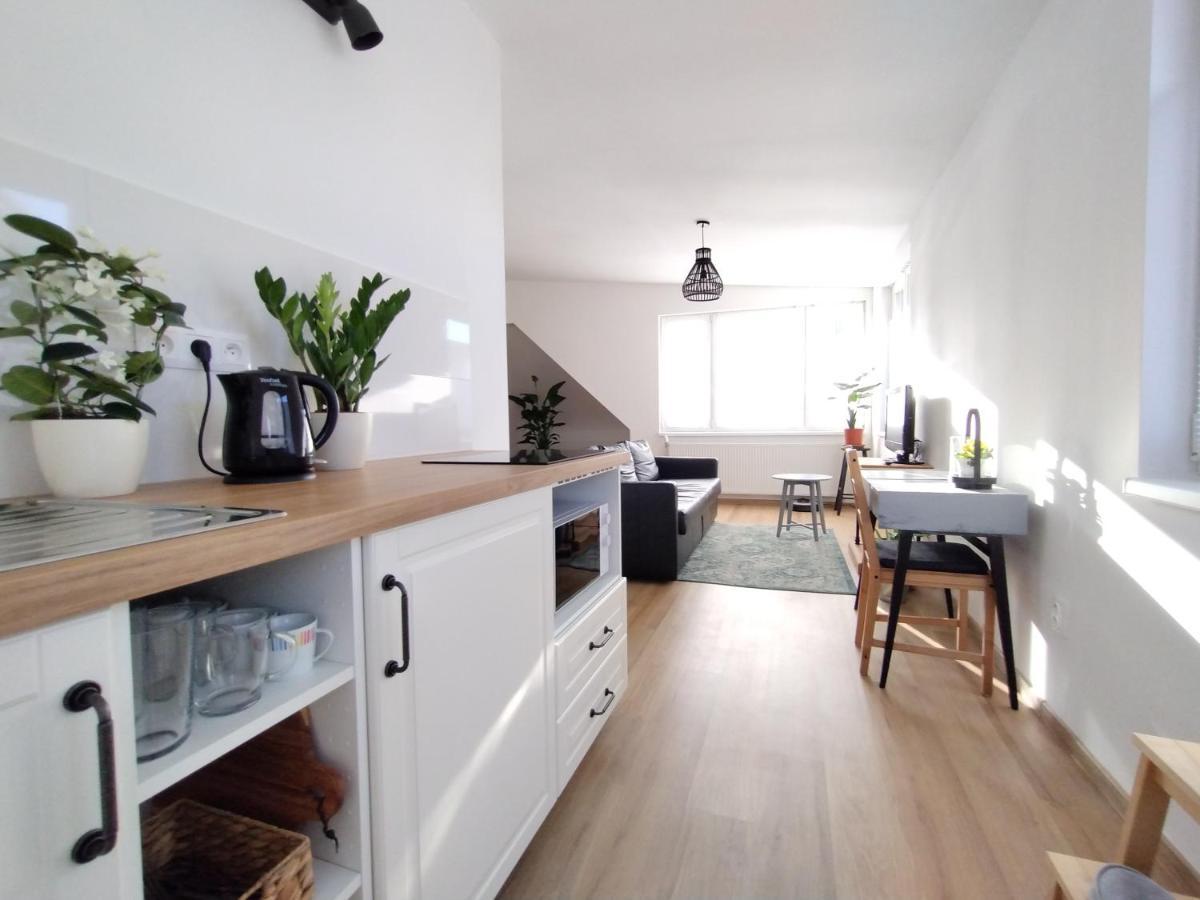 Attic Apartment Catnip Μπρατισλάβα Εξωτερικό φωτογραφία