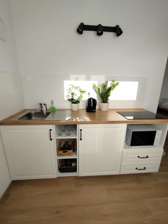 Attic Apartment Catnip Μπρατισλάβα Εξωτερικό φωτογραφία